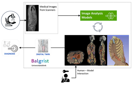 Anatomical 3D Models