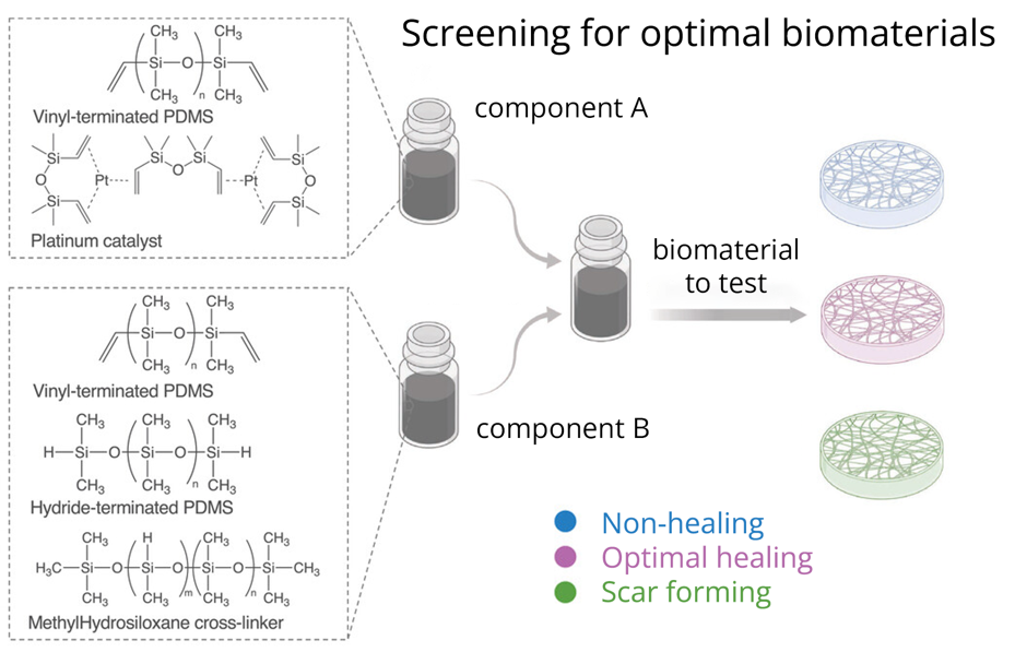 Screening Biomaterials